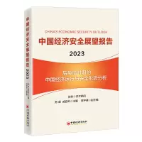 音像中国经济安全展望报告(20)苏剑,戚自科