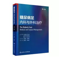 音像糖尿病足:内科与外科治疗(第4版/翻译版)王爱萍,付建芳