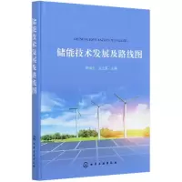 音像储能技术发展及路线图(精)陈海生、吴玉庭