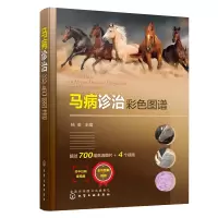 音像马病诊治彩色图谱杨英