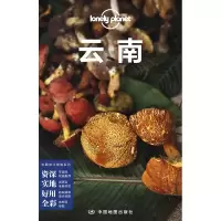 音像云南丁海笑 等