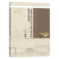 音像安徽中医诊治内分泌代谢疾病临经验集粹方朝晖