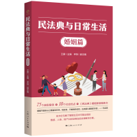 音像民法典与日常生活·婚姻篇王康 主编 李恒副 主编
