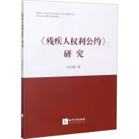 音像残疾人权利公约研究刘文静