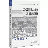 音像公司利益的法律解释沈晖