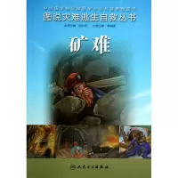 音像矿难/图说灾难逃生自救丛书李树峰|主编:刘中民