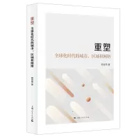 音像重塑:全球化时代的城市、区域和网络熊世伟 著