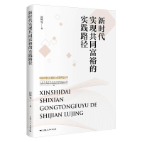 音像新时代实现共同富裕的实践路径闵辉 等 著