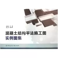 音像混凝土结构平法施工图实例图集编者:李建武