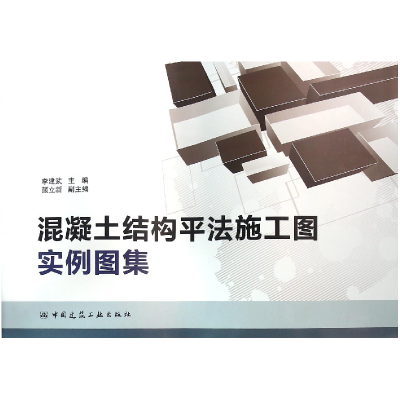 音像混凝土结构平法施工图实例图集编者:李建武
