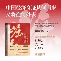 音像中国崛起的经济学分析晓|责编:韦晨晔//李琳