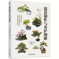音像盆景制作与养护图解[日]松井孝