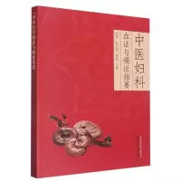 音像中医妇科血与痛指要师伟, 张立娟, 徐丽主编