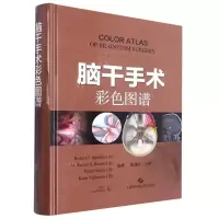 音像脑干手术彩色图谱[美]罗伯特·斯佩兹勒 等 编著,张建民 主译