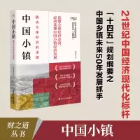 音像中国小镇(撬动全球经济的重镇)张梦希|责编:尚婧//李楠
