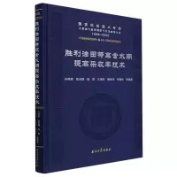 音像胜利油田特高含水期提高采收率技术