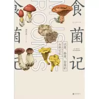 音像食菌记柳开林