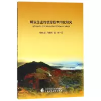 音像煤炭企业的信息技术同化研究康旺霖//刘新民//范柳