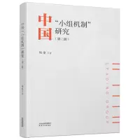 音像中国“小组机制”研究周望