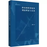 音像涉民间借贷犯罪刑理与实务龙敏 著