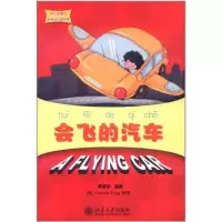 音像会飞的汽车李延祜