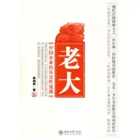 音像时代光华—老大:中国企业的历史机遇娄向鹏 著