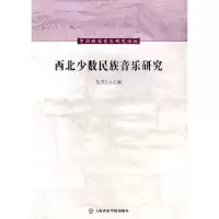 音像西北少数民族音乐研究张仁 编