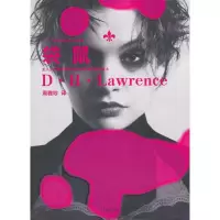 音像袋鼠(劳伦斯长篇小说全集)D?H?劳伦斯