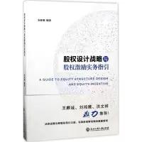音像股权设计战略与股权激励实务指引宋桂明 编著