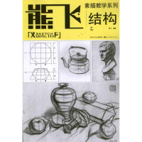 音像熊飞素描教学系列:结构熊飞