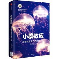 音像小群效应徐志斌