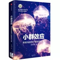 音像小群效应徐志斌