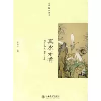 音像真水无香朱良志