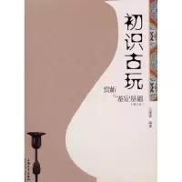 音像初识古玩赏析与鉴定基础(修订本)吕建昌