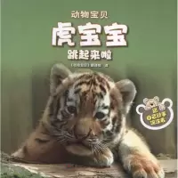 音像虎宝宝跳起来了迈克尔.泰特尔鲍姆