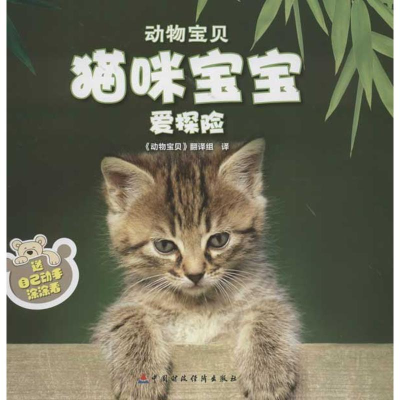音像猫咪宝宝爱探险泰特尔鲍姆