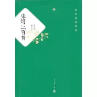 音像宋词三百首/武玉成等编武玉成 等编