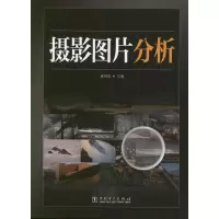 音像摄影图片分析董河东 编