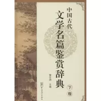 音像中国古代文学名篇鉴赏辞典(下卷)/黄岳洲编黄岳洲 编
