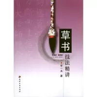 音像草书技法精讲辛一夫