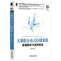 音像大规模分布式存储系统杨传辉