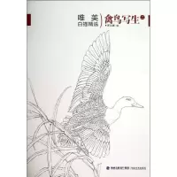 音像唯美白描精选罗玉鑫