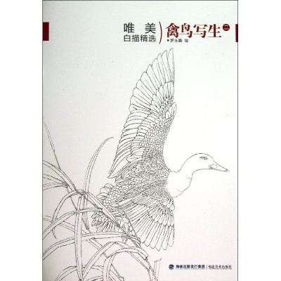 音像唯美白描精选罗玉鑫