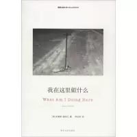 音像我在这里做什么布鲁斯.查特文