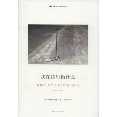 音像我在这里做什么布鲁斯.查特文