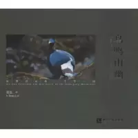 音像鸟鸣山幽董磊