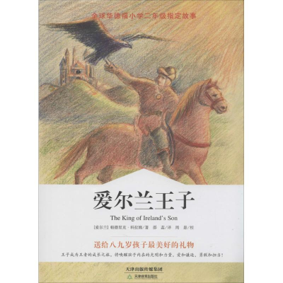 音像爱尔兰王子帕德里克·科拉姆