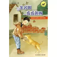 音像一条名叫孩孩的狗黄蓓佳