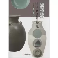 音像中国古代瓷器鉴定姚江波