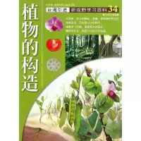 音像34:植物的构造宋馥华